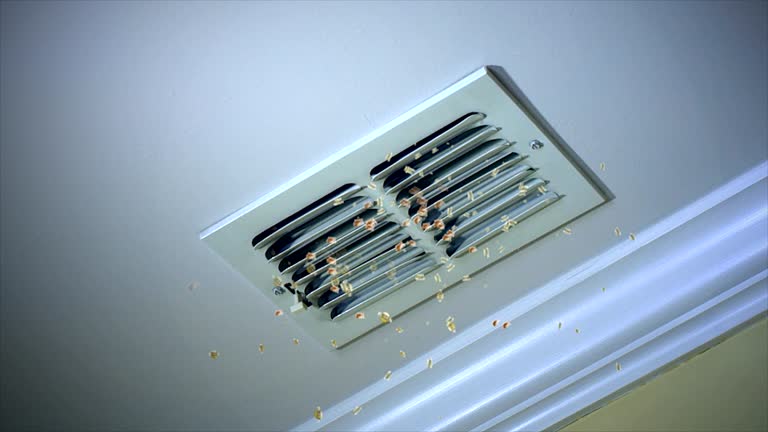 Best Best Air Duct Cleaning Company  in Fairmead, CA