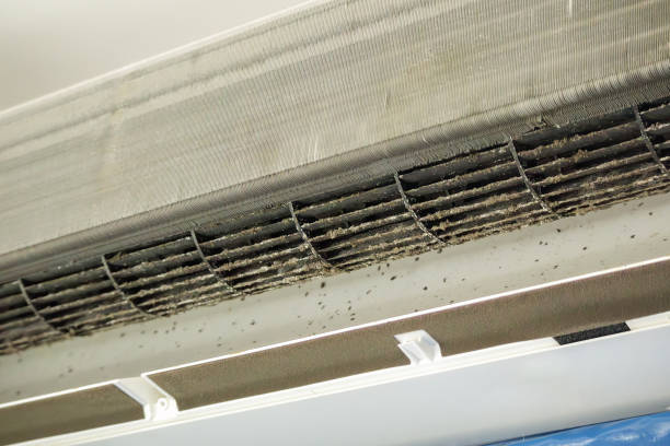 Best Best Air Duct Cleaning Company  in Fairmead, CA